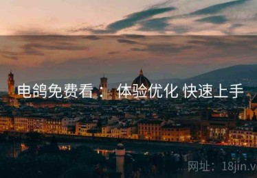 电鸽免费看 ： 体验优化 快速上手