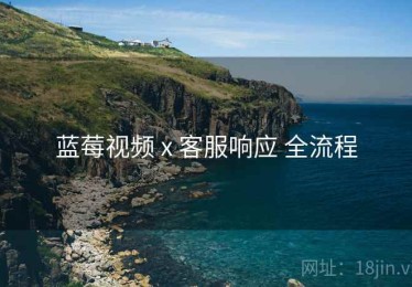 蓝莓视频 x 客服响应 全流程