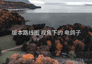 版本路线图 视角下的 电鸽子