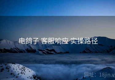 电鸽子 客服响应 实操路径