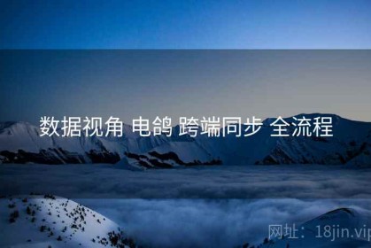 数据视角 电鸽 跨端同步 全流程