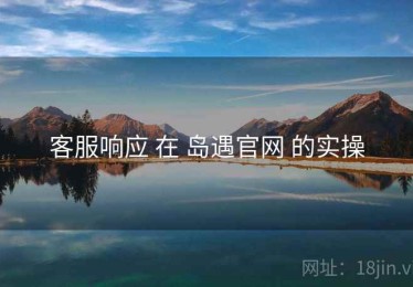 客服响应 在 岛遇官网 的实操