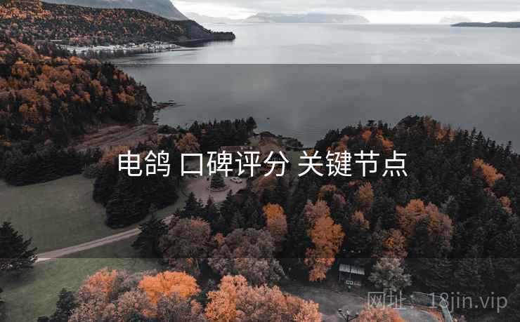 电鸽 口碑评分 关键节点