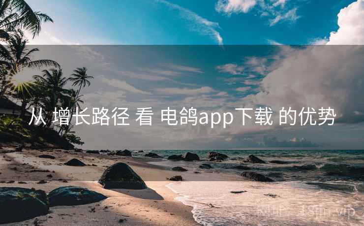从 增长路径 看 电鸽app下载 的优势