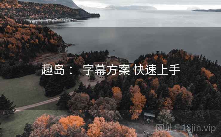 趣岛 ： 字幕方案 快速上手