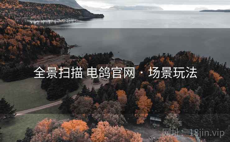 全景扫描 电鸽官网 · 场景玩法