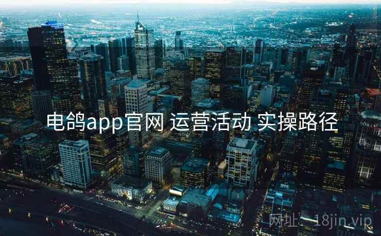 电鸽app官网 运营活动 实操路径