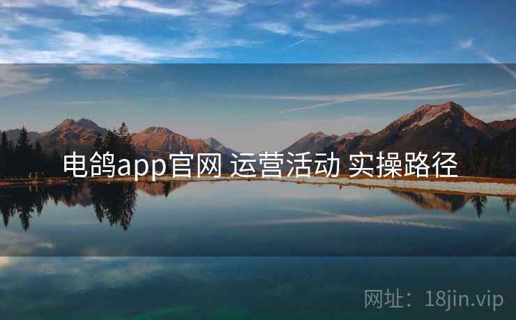 电鸽app官网 运营活动 实操路径