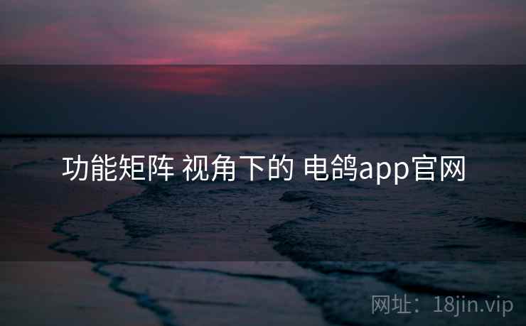 功能矩阵 视角下的 电鸽app官网