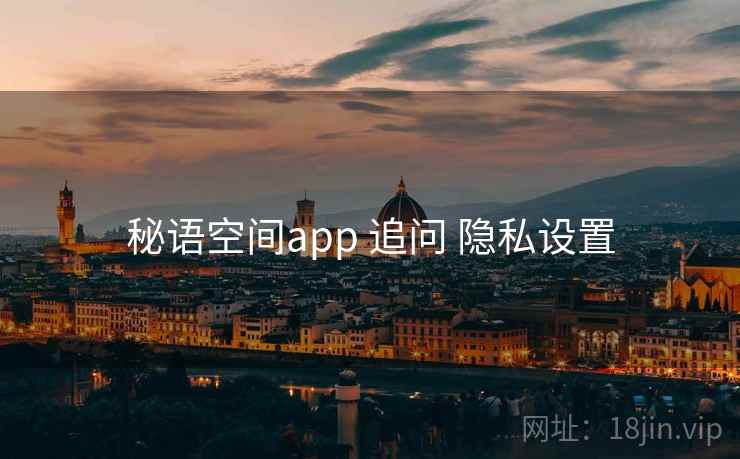 秘语空间app 追问 隐私设置