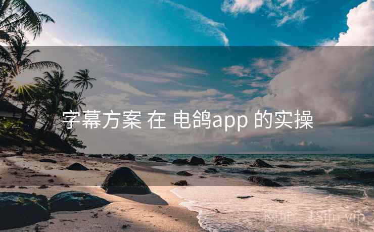 字幕方案 在 电鸽app 的实操