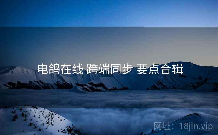 电鸽在线 跨端同步 要点合辑