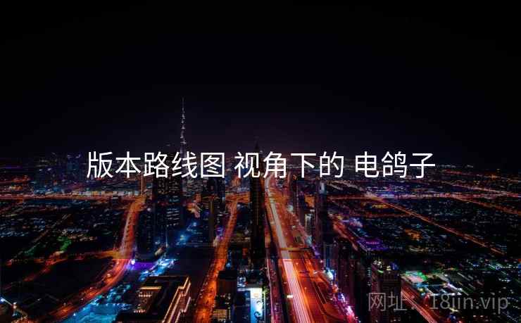 版本路线图 视角下的 电鸽子