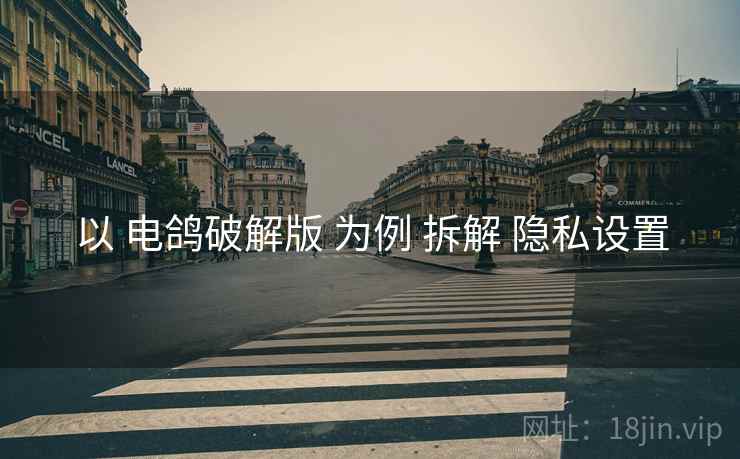 以 电鸽破解版 为例 拆解 隐私设置