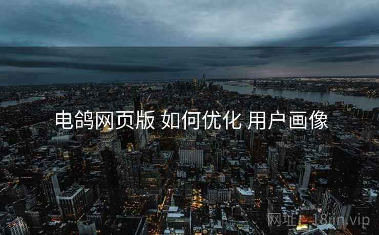 电鸽网页版 如何优化 用户画像