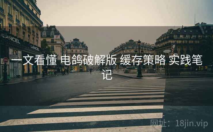 一文看懂 电鸽破解版 缓存策略 实践笔记
