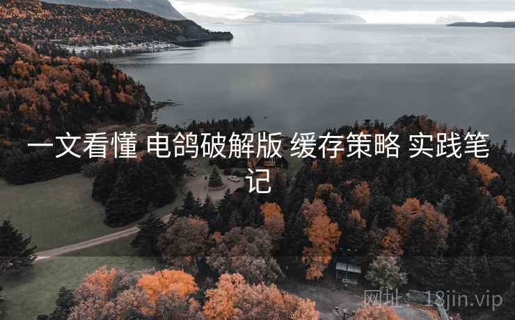 一文看懂 电鸽破解版 缓存策略 实践笔记