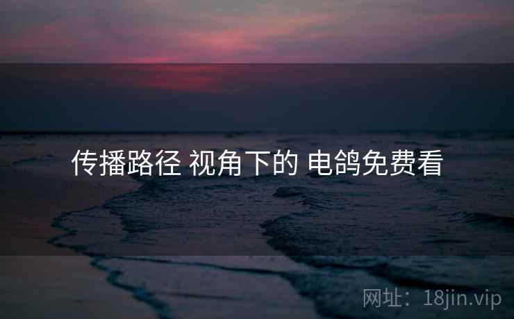 传播路径 视角下的 电鸽免费看