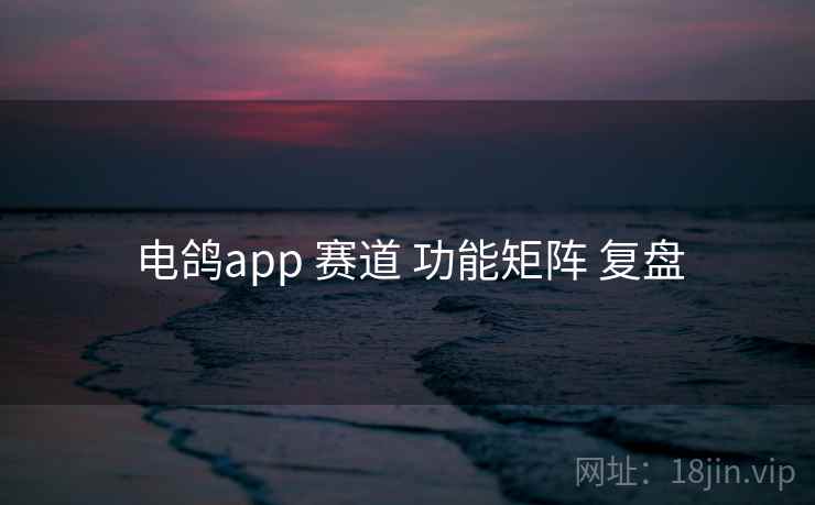 电鸽app 赛道 功能矩阵 复盘
