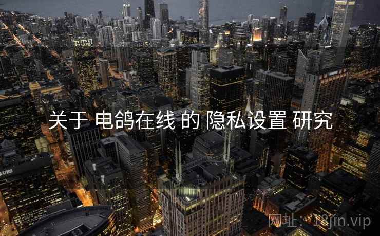 关于 电鸽在线 的 隐私设置 研究