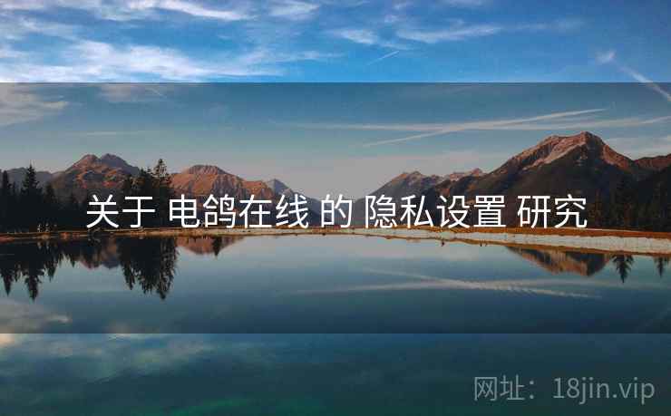 关于 电鸽在线 的 隐私设置 研究