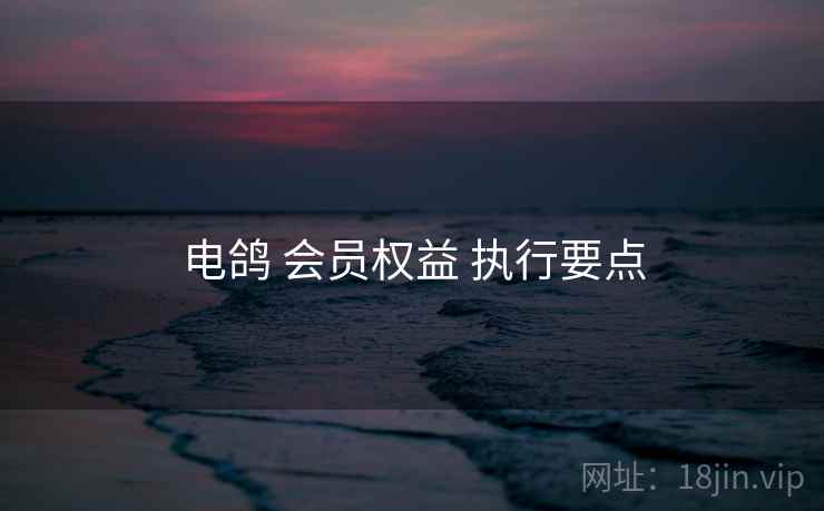 电鸽 会员权益 执行要点