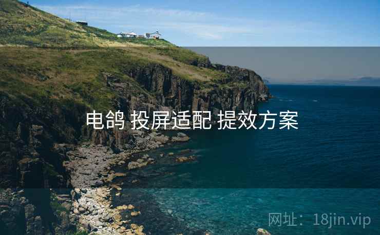 电鸽 投屏适配 提效方案