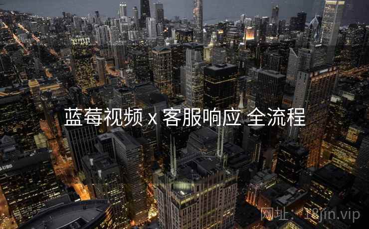 蓝莓视频 x 客服响应 全流程