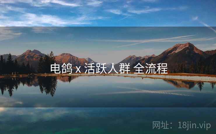 电鸽 x 活跃人群 全流程