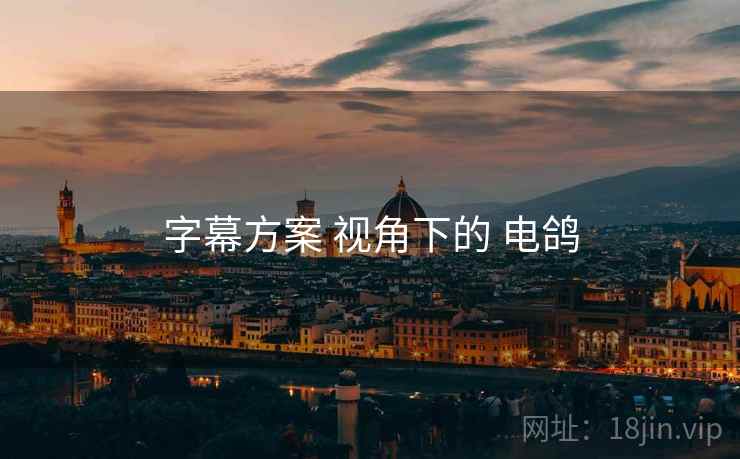 字幕方案 视角下的 电鸽