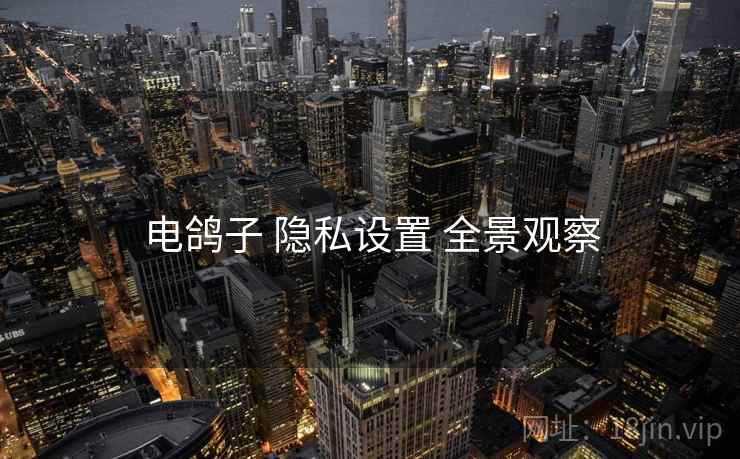 电鸽子 隐私设置 全景观察