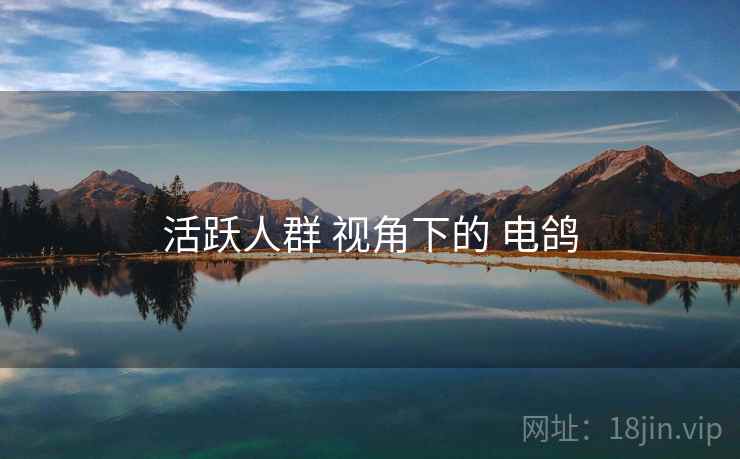 活跃人群 视角下的 电鸽