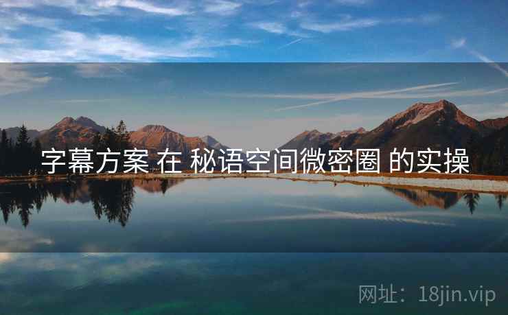 字幕方案 在 秘语空间微密圈 的实操