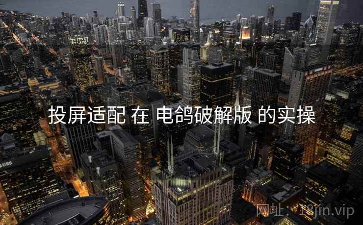 投屏适配 在 电鸽破解版 的实操