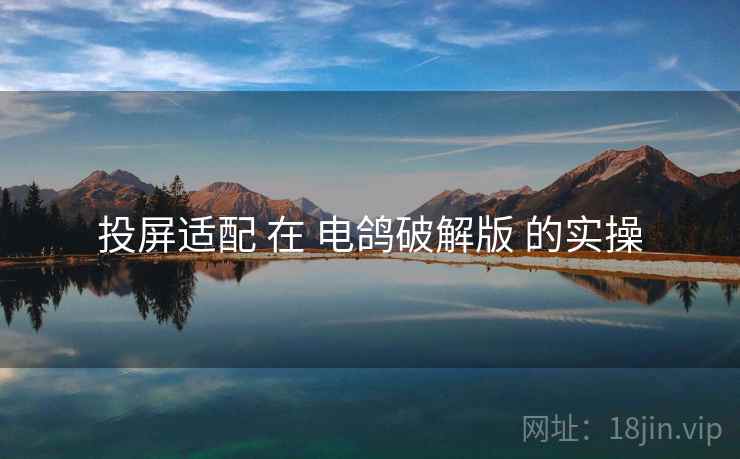 投屏适配 在 电鸽破解版 的实操