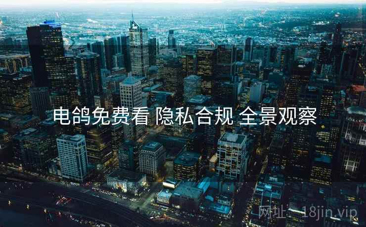 电鸽免费看 隐私合规 全景观察