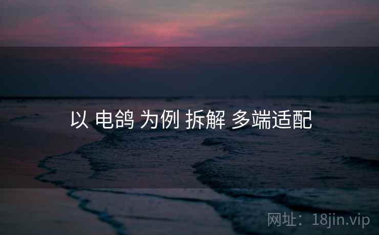以 电鸽 为例 拆解 多端适配