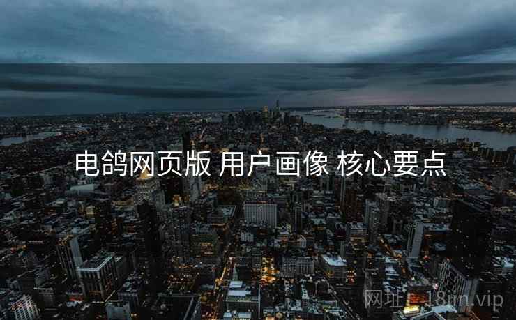 电鸽网页版 用户画像 核心要点