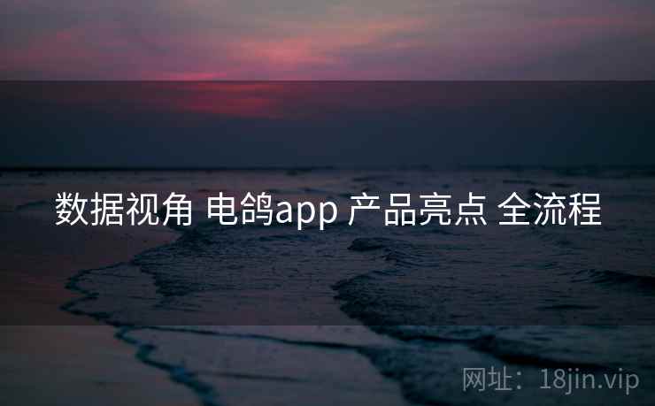 数据视角 电鸽app 产品亮点 全流程