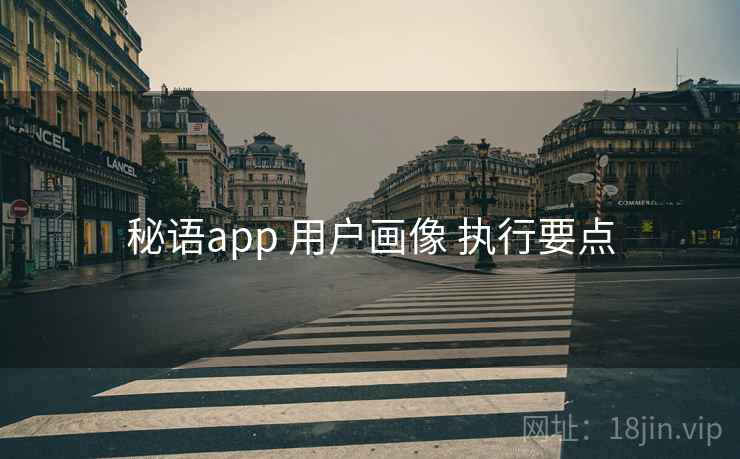 秘语app 用户画像 执行要点