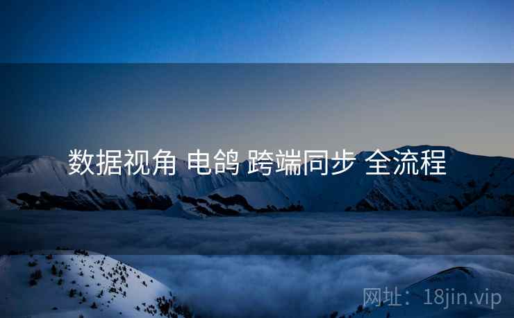 数据视角 电鸽 跨端同步 全流程